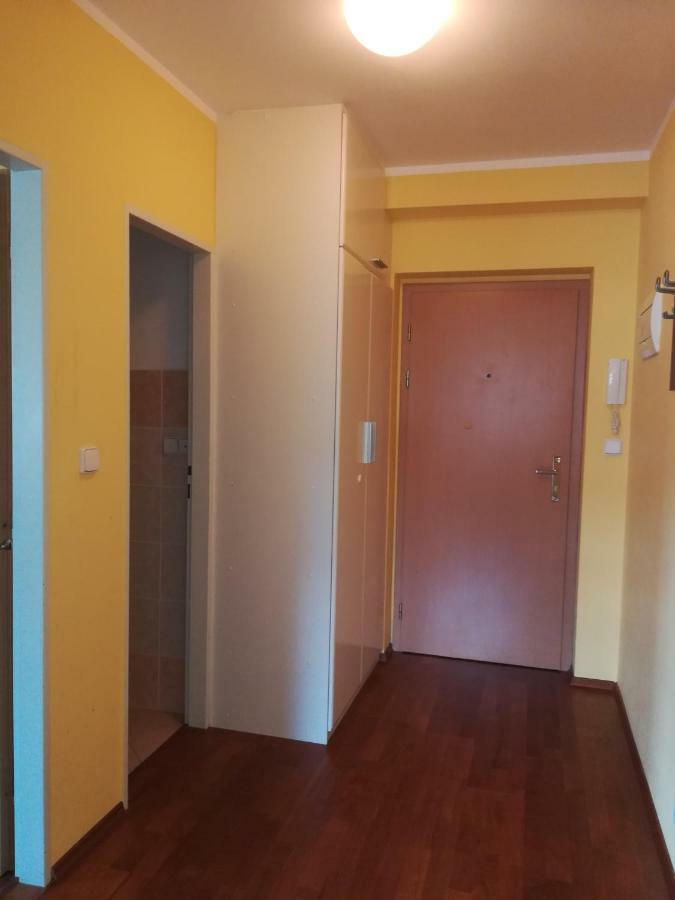 Apartments Rokytka 308 & 405 Rokytnice nad Jizerou Zewnętrze zdjęcie